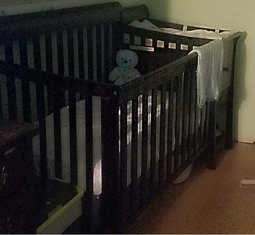 sorelle yorkshire crib